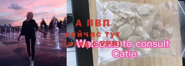 шишки Баксан