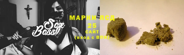 шишки Баксан
