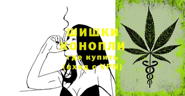 шишки Баксан