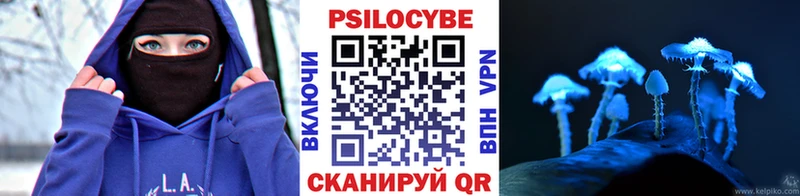 продажа наркотиков Пересвет Псилоцибиновые грибы GOLDEN TEACHER